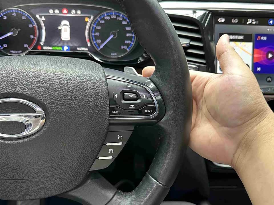 Trumpchi Trumpchi GS8