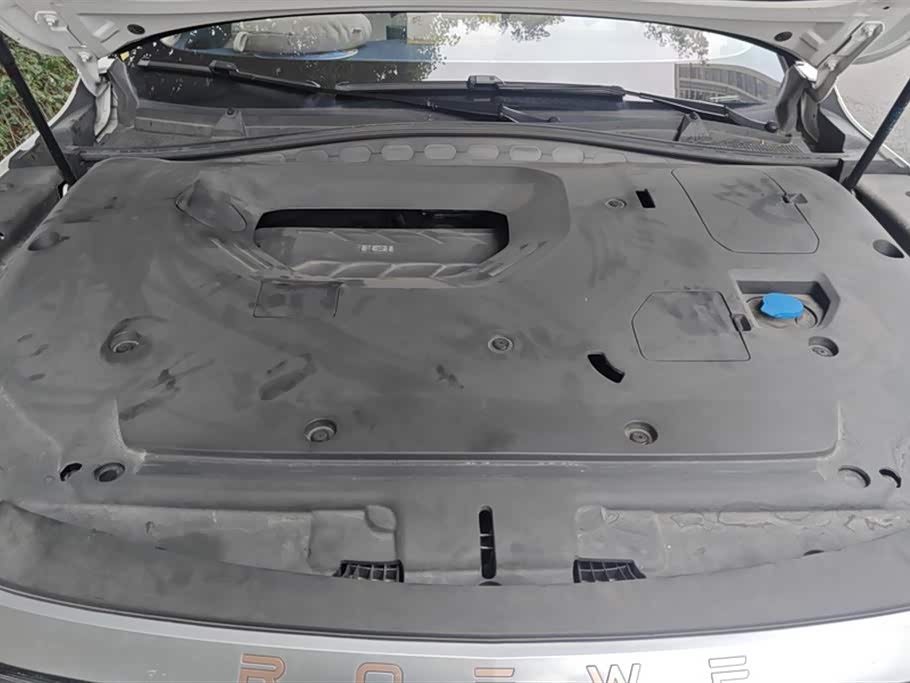 Roewe whale Roewe whale