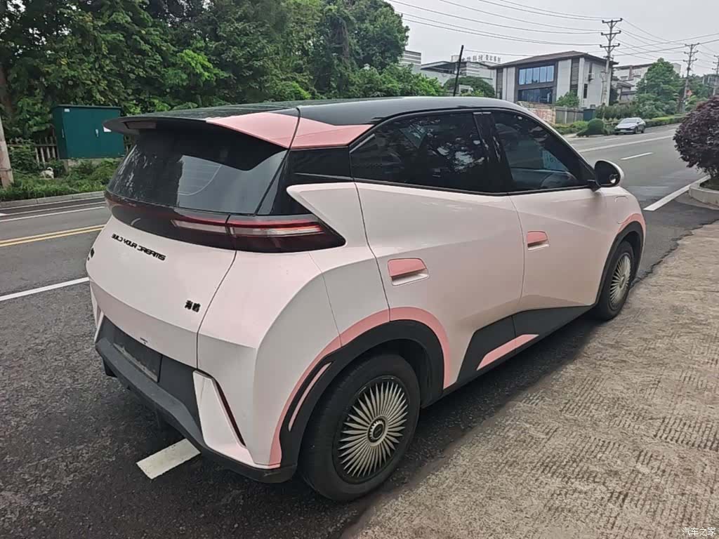 BYD Seagull, 2024 7