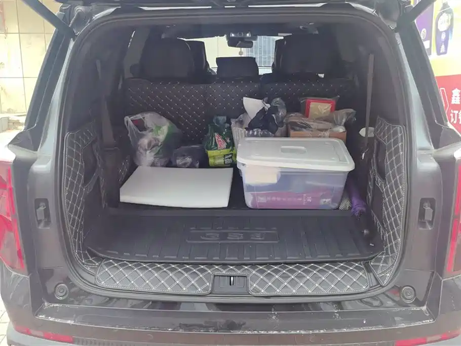 Trumpchi Trumpchi GS8