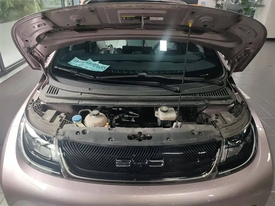 BYD dolphin