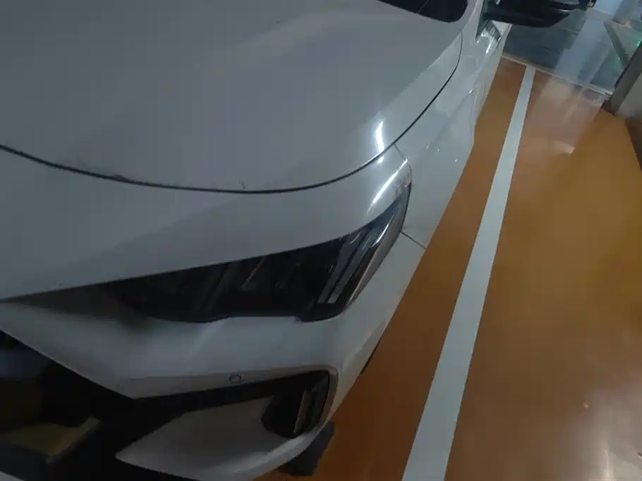 Trumpchi Shadow Leopard