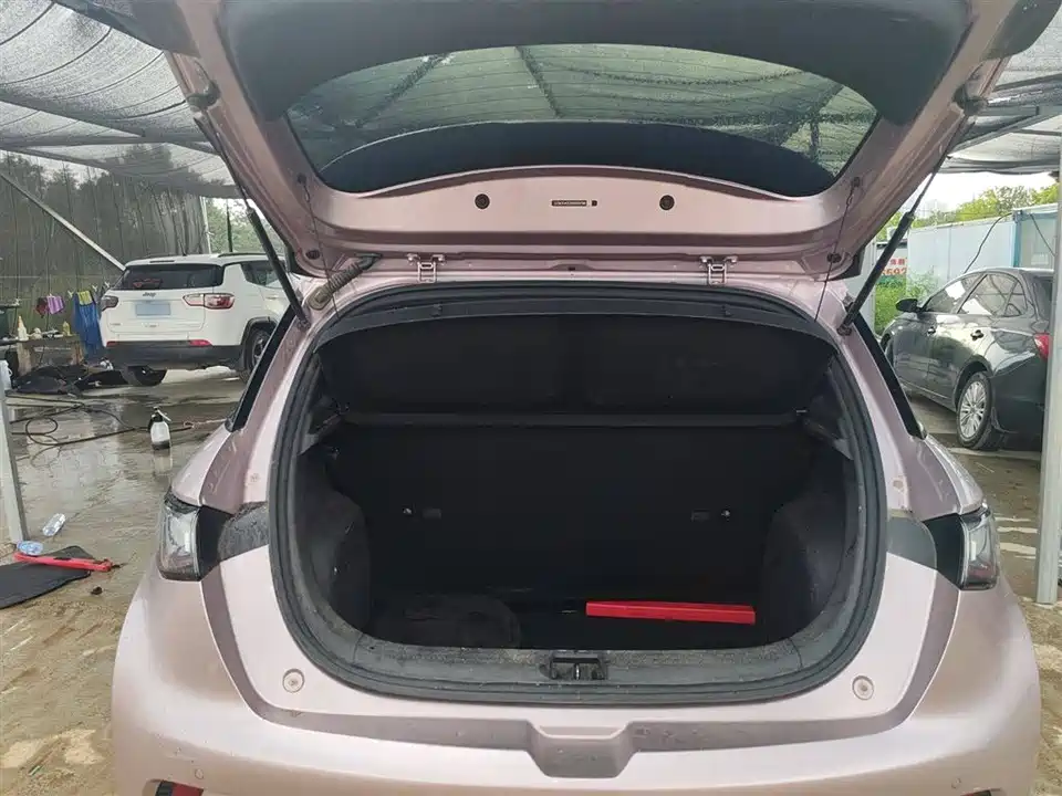BYD dolphin