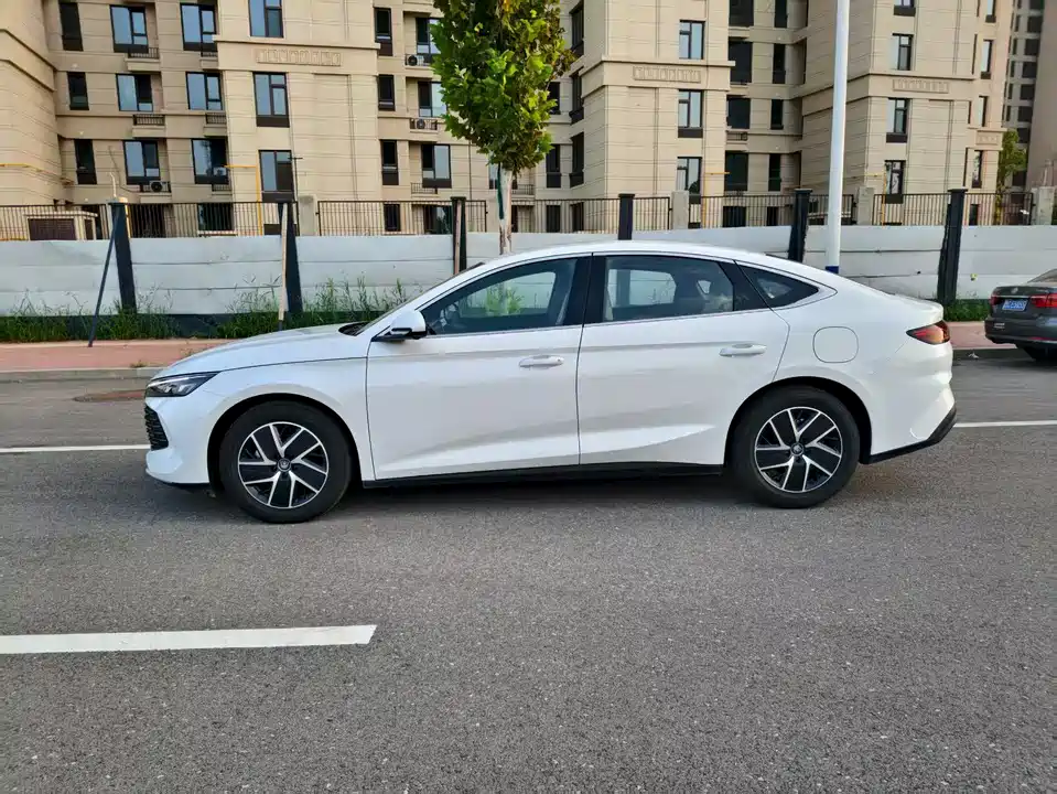 BYD Qin L