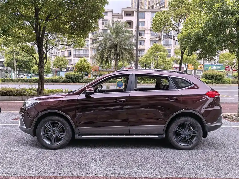 Leopaard Cheetah CS10