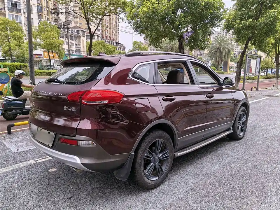 Leopaard Cheetah CS10