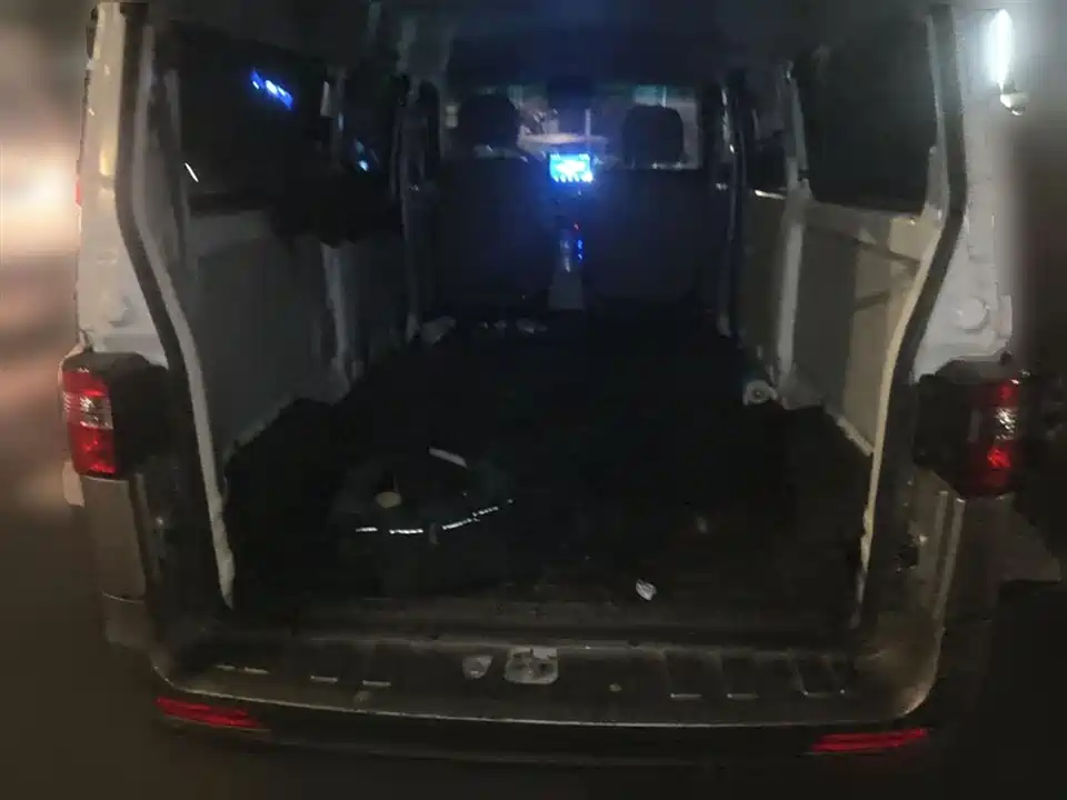 Jinbei Little Sea Lion X30