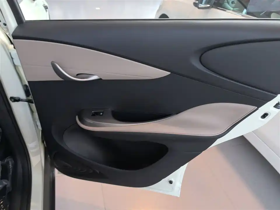 BYD dolphin