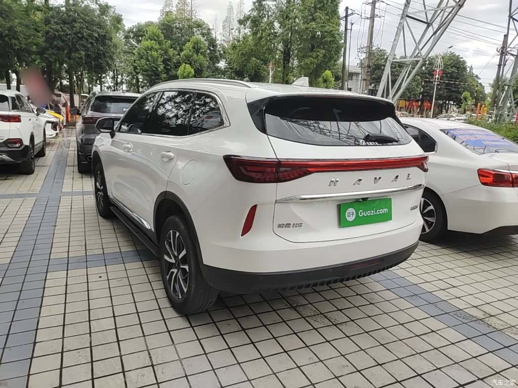 Haval H6, 2024 все фото