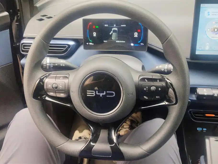 BYD Seagull