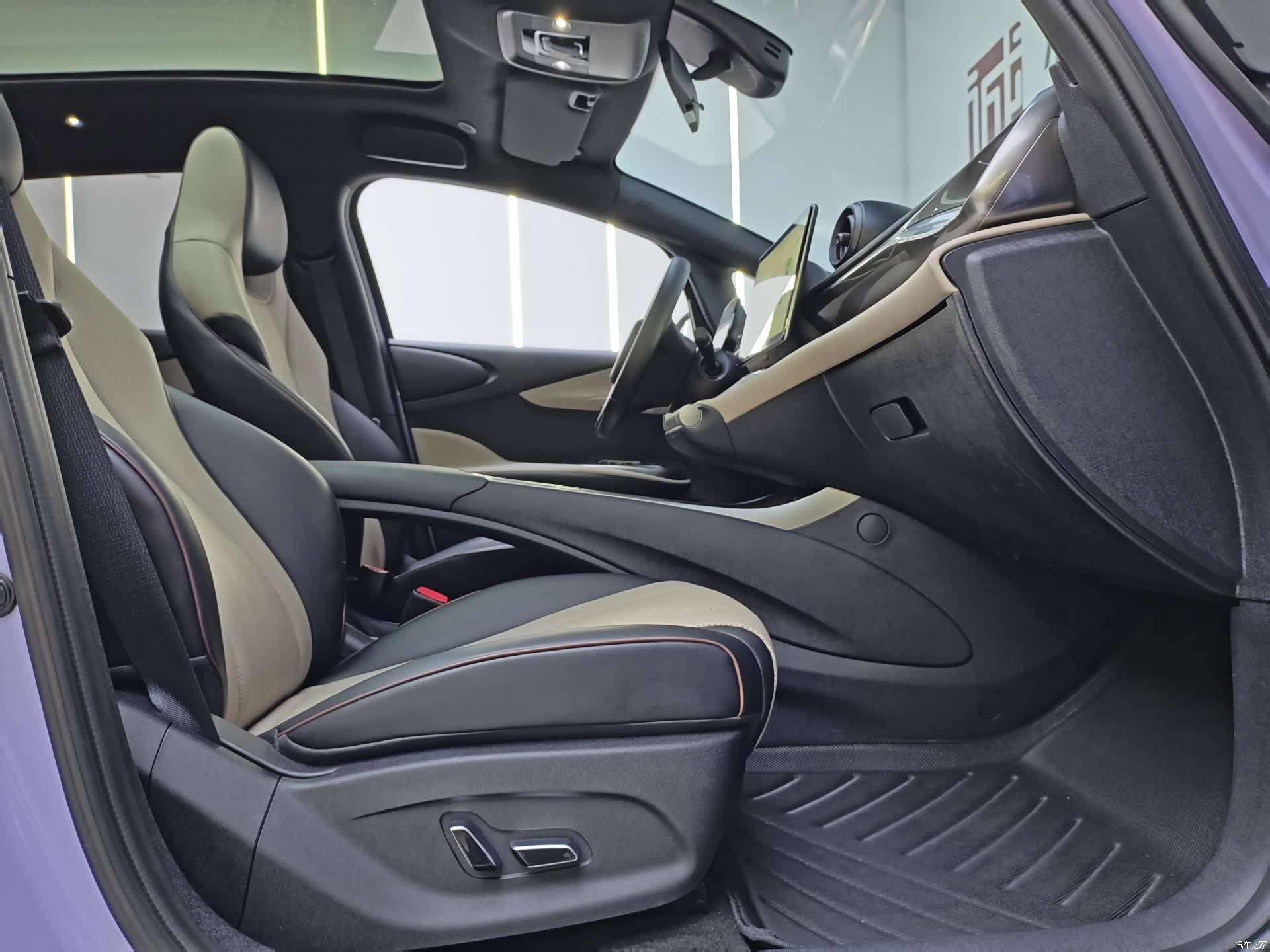 BYD Dolphin, 2024 8