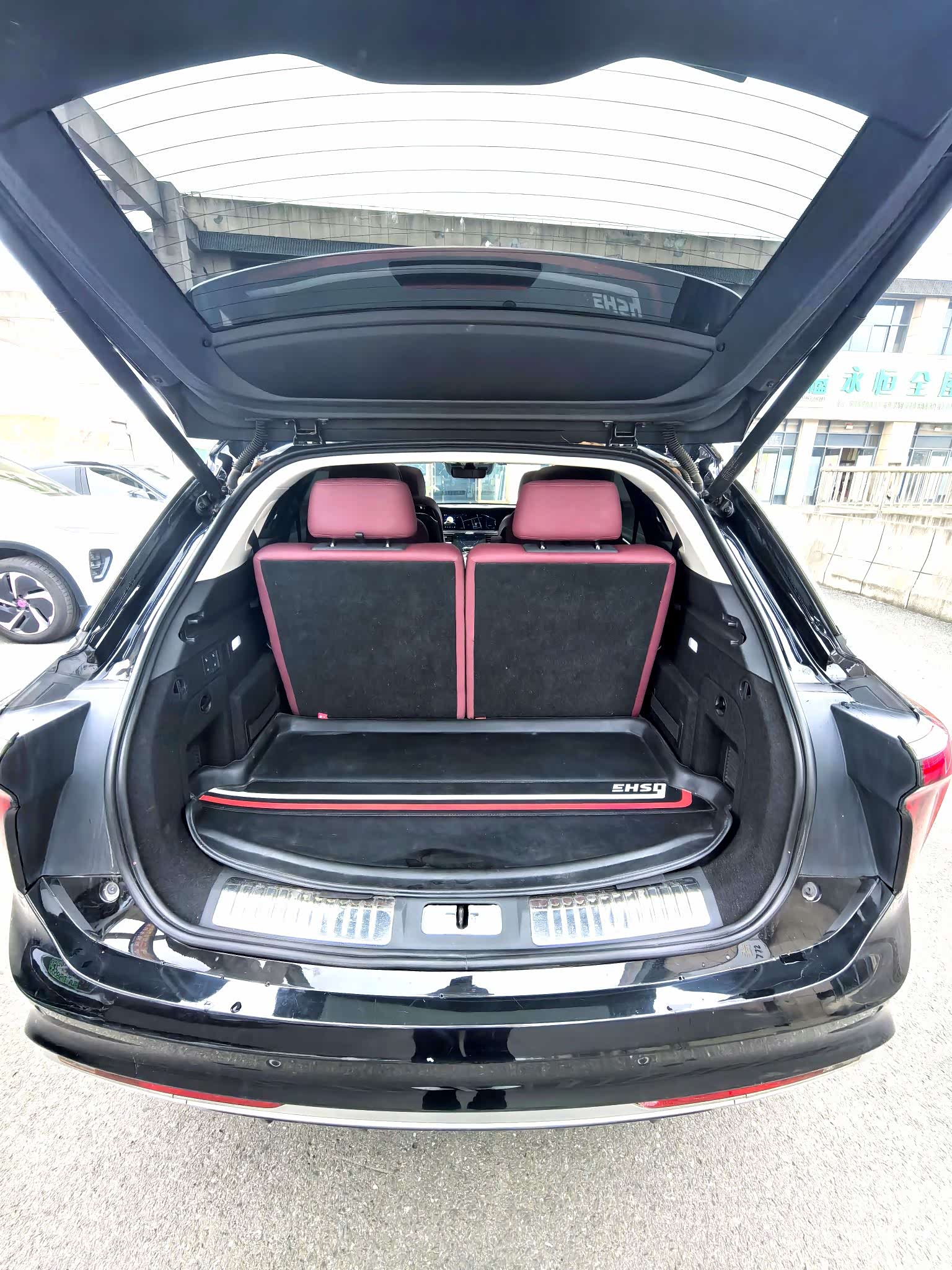 Hongqi E-HS9, 2021 14
