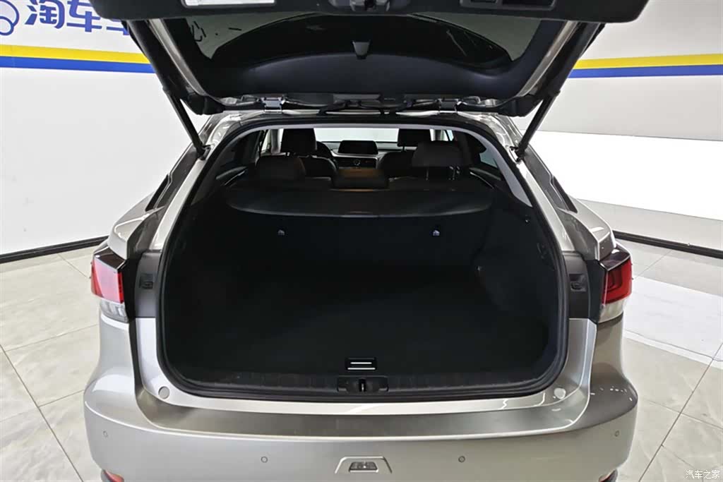 Lexus RX, 2020 4