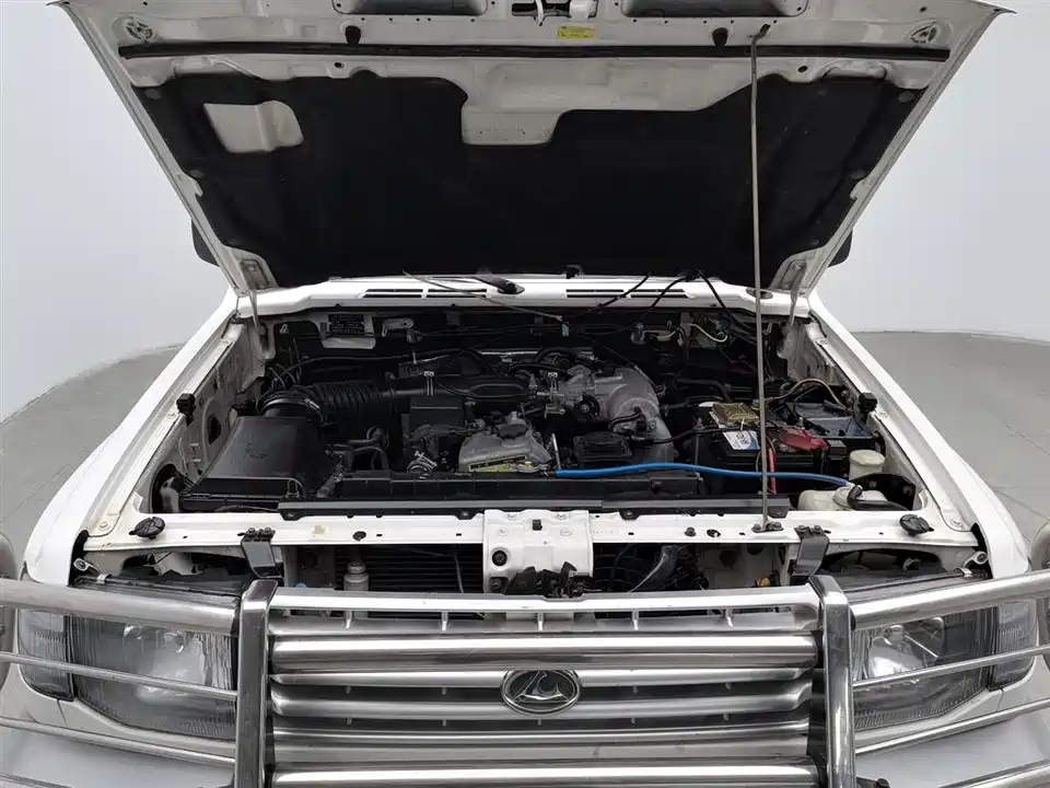 Leopaard Black King Kong