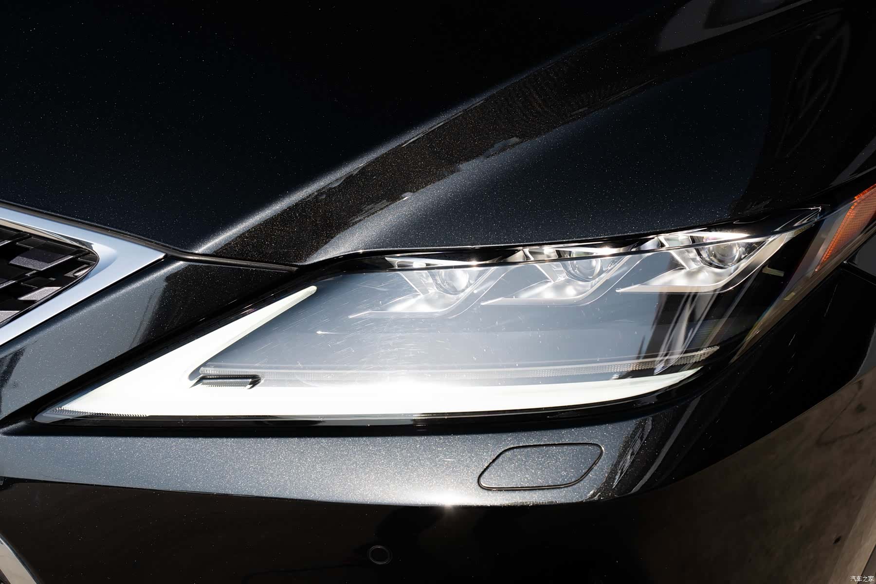Lexus RX, 2020 все фото