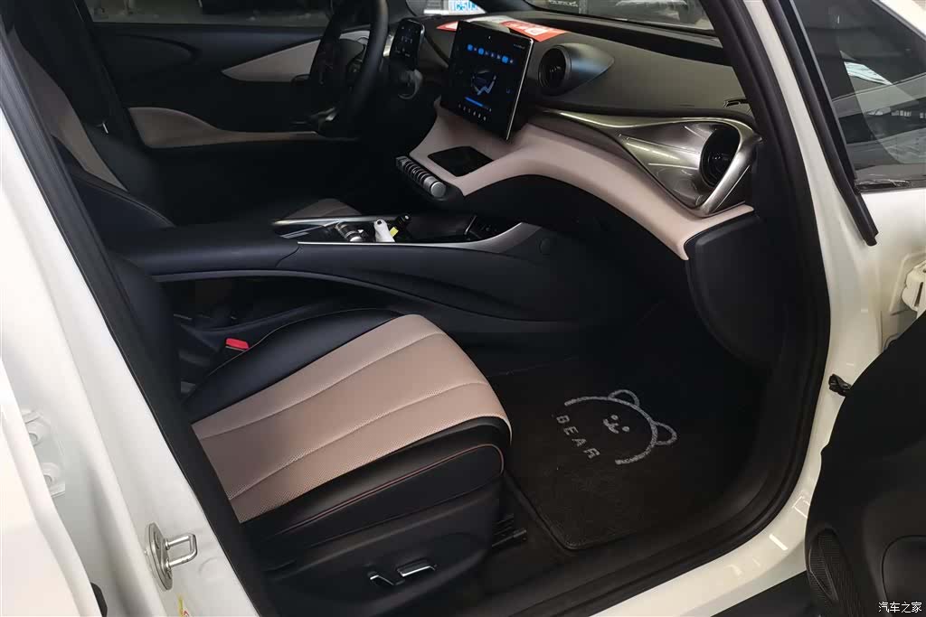 BYD Dolphin, 2024 8
