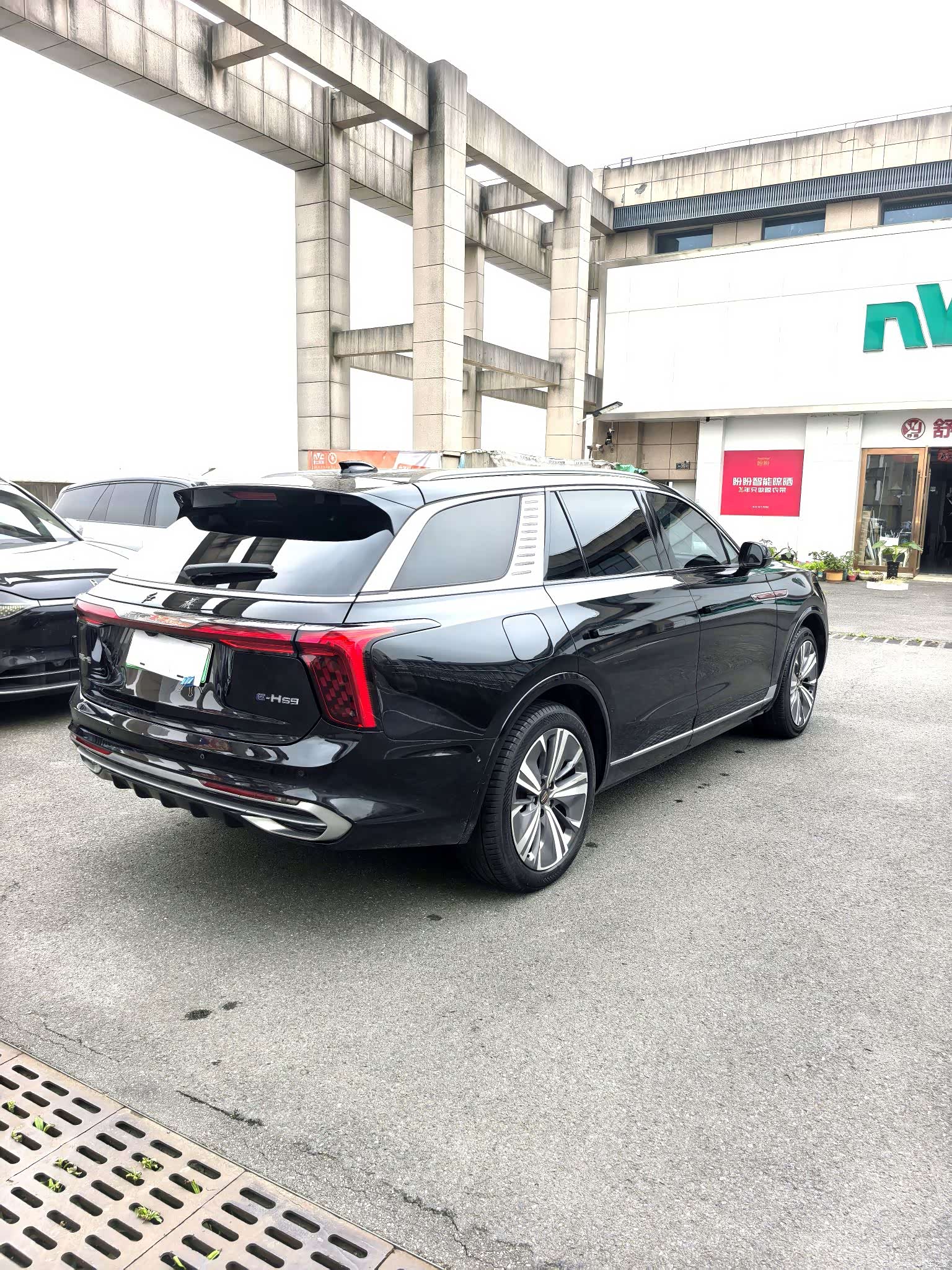 Hongqi E-HS9, 2021 все фото