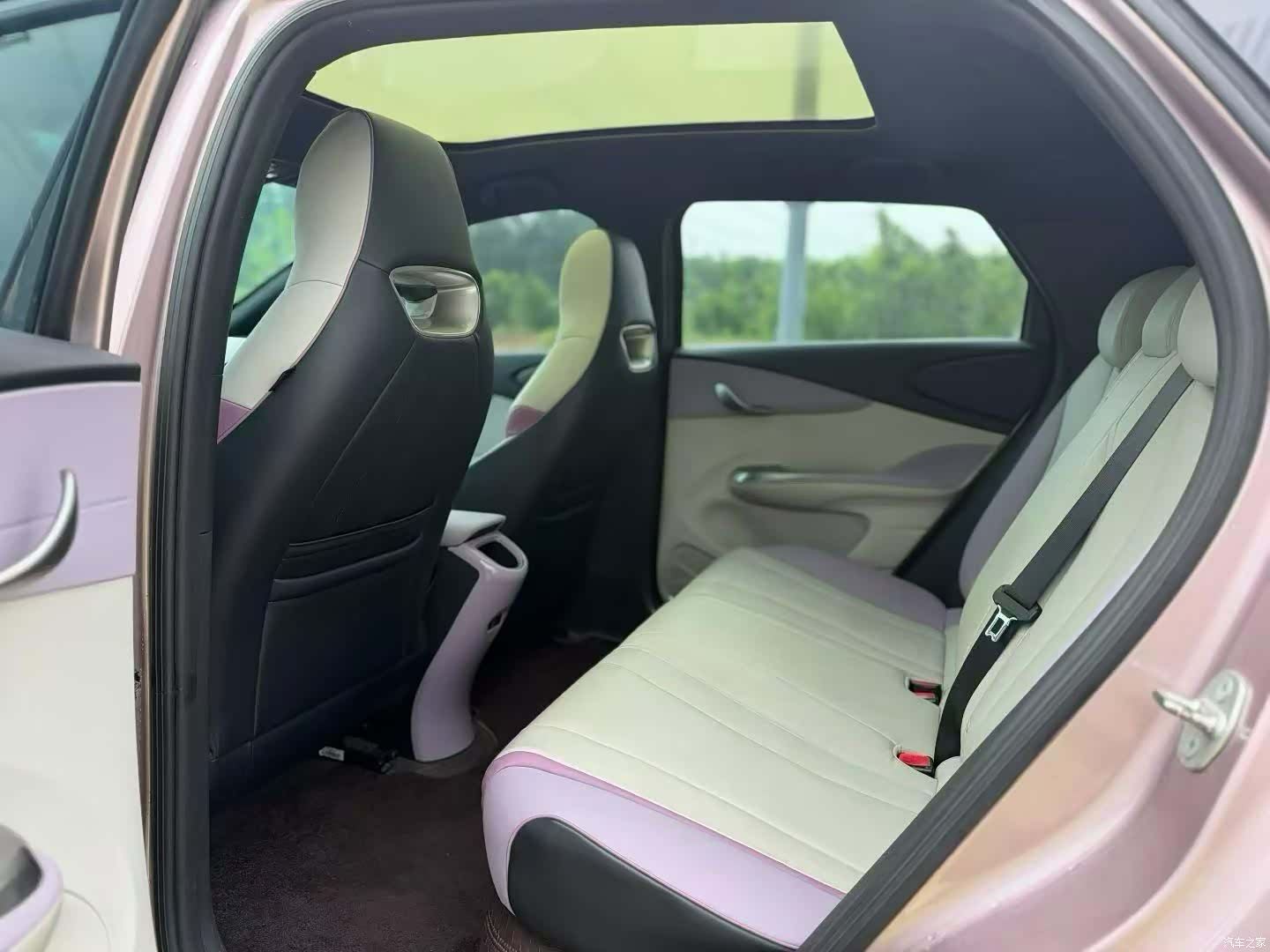 BYD Dolphin, 2023 все фото