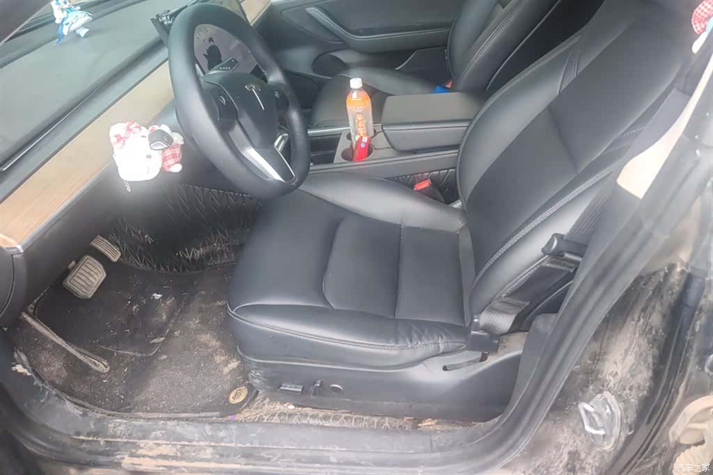 Tesla Model 3, 2021 9