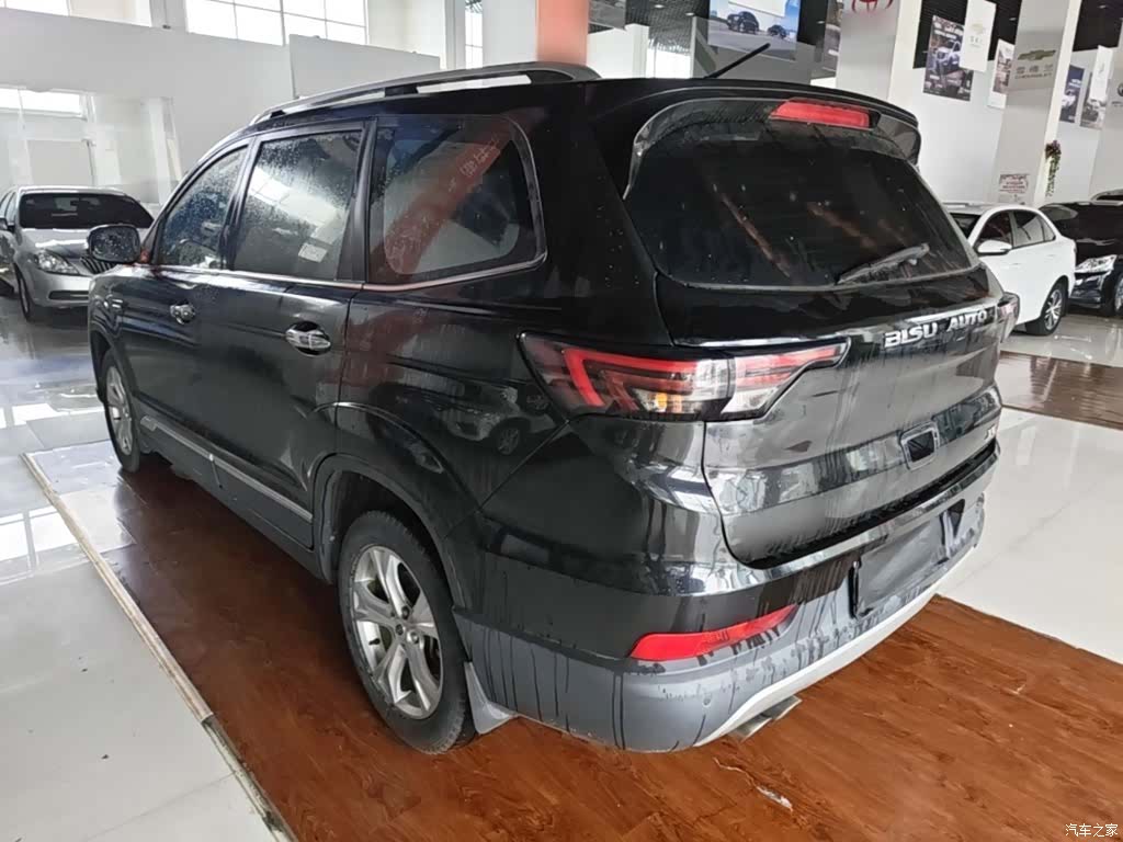 Bisu T5, 2018 все фото