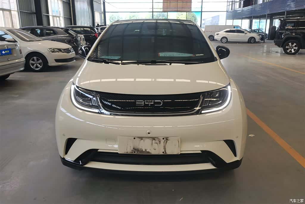 BYD Dolphin, 2024 2