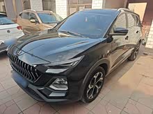˼�X8 2021�� 300T DCT���������� 5��