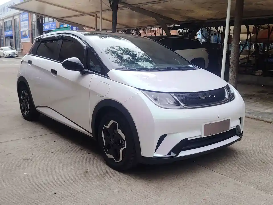 BYD dolphin