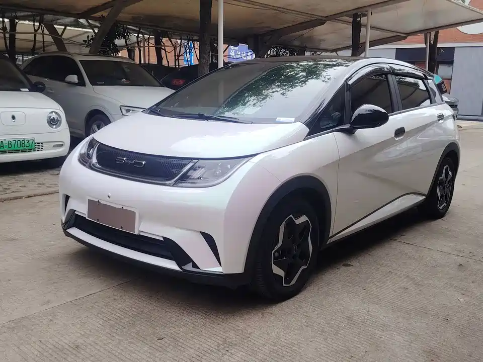 BYD dolphin