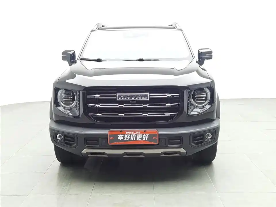 Haval Big dog
