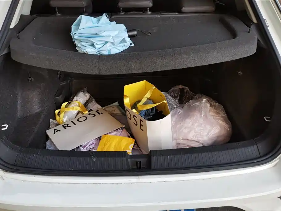 Volkswagen T-ROC exploring Songs