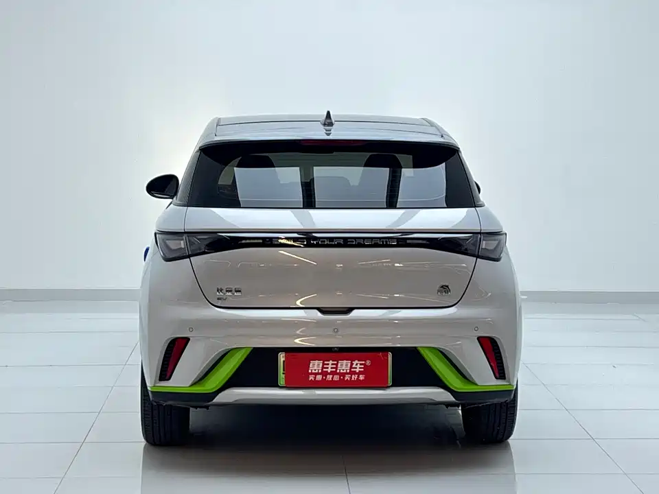 BYD dolphin