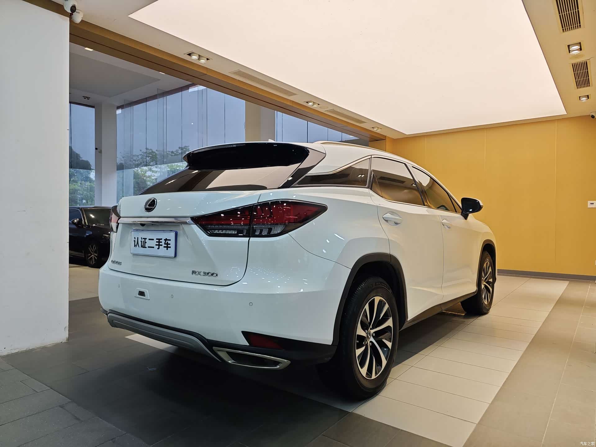 Lexus RX, 2022 33