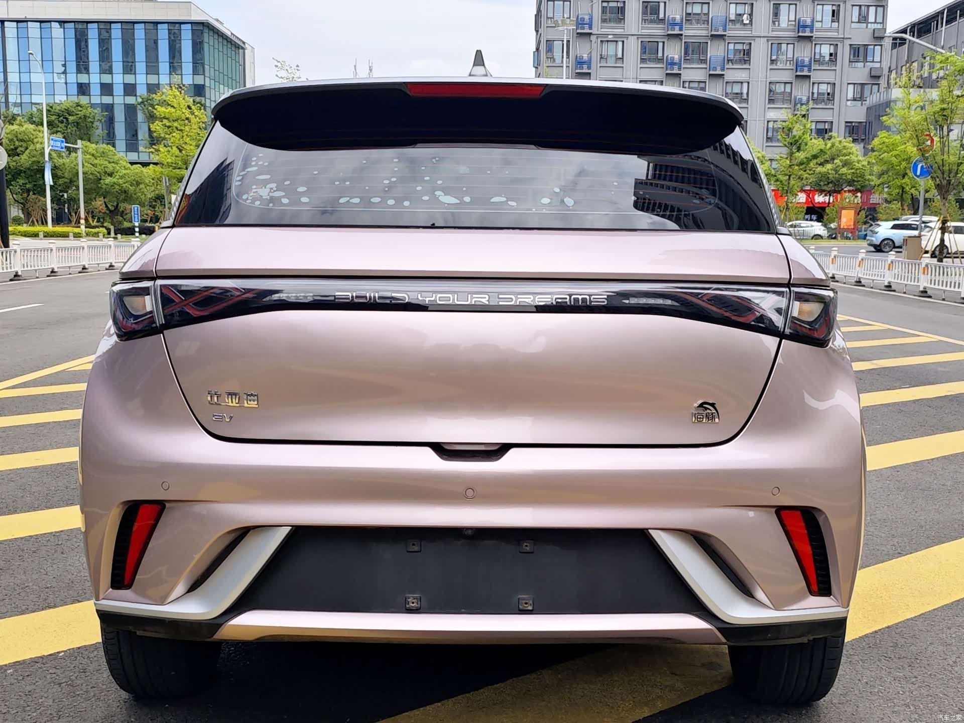 BYD Dolphin, 2022 4