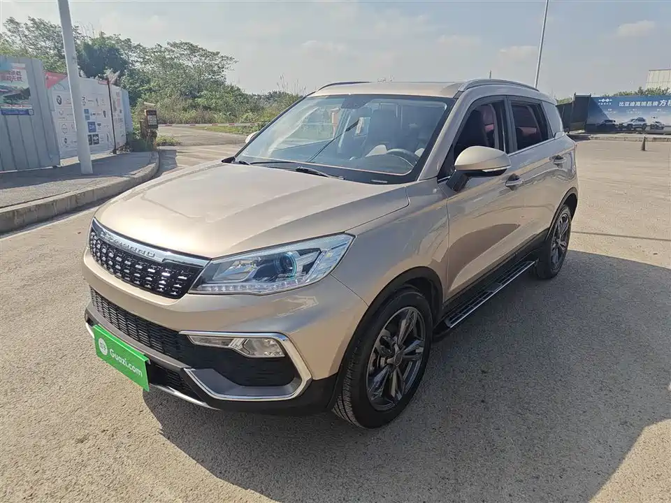 Leopaard Cheetah CS9