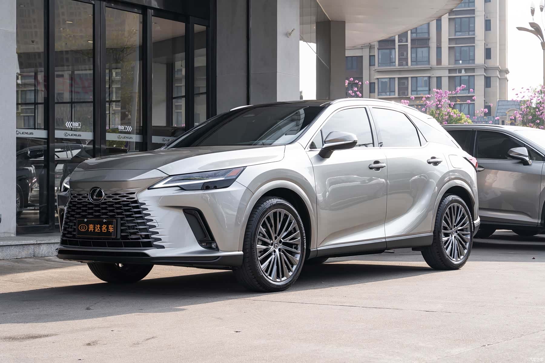 Lexus RX, 2025 1