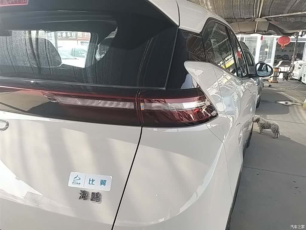 BYD Seagull, 2026 8