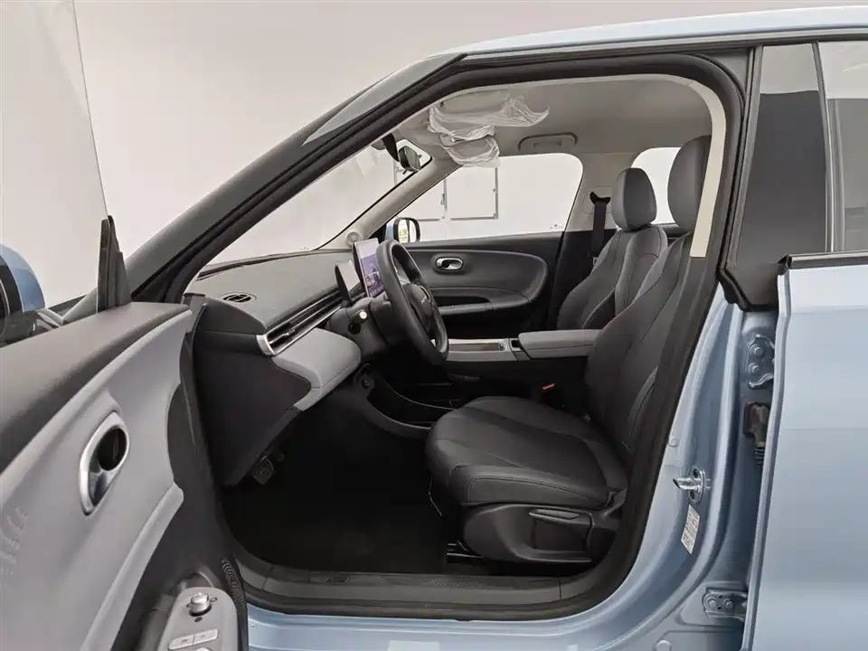 Dongfeng Nammi Nano 01