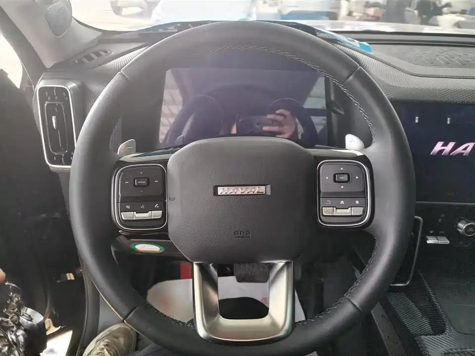 Haval Big dog
