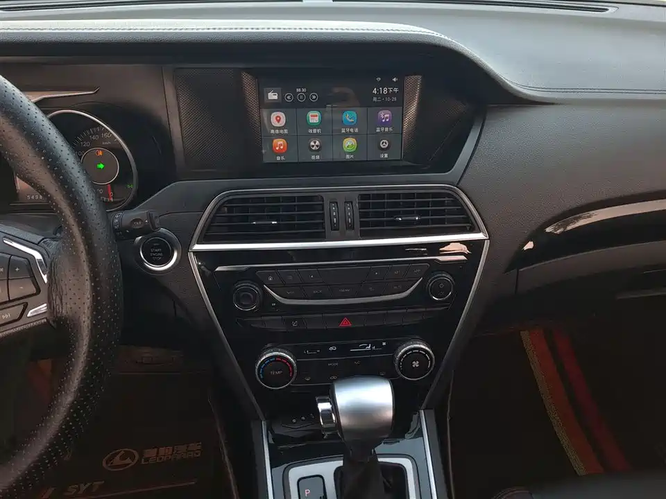 Leopaard Cheetah CS10