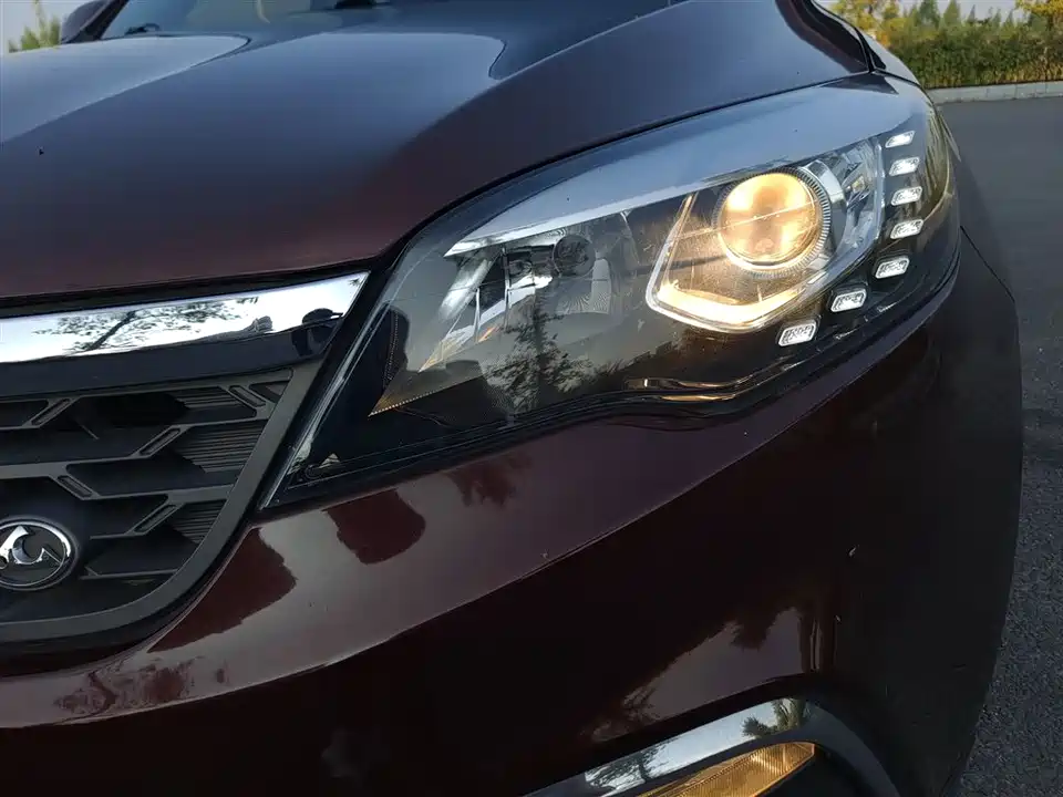 Leopaard Cheetah CS10