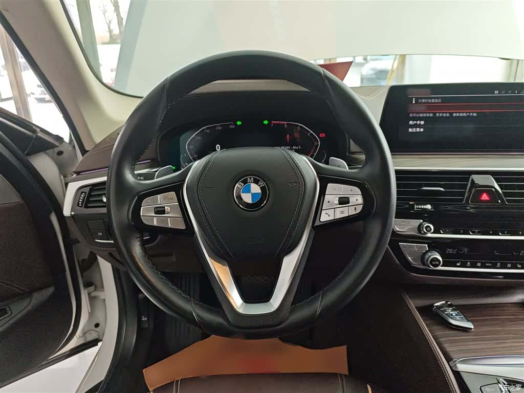 BMW 5 Series, 2020 3