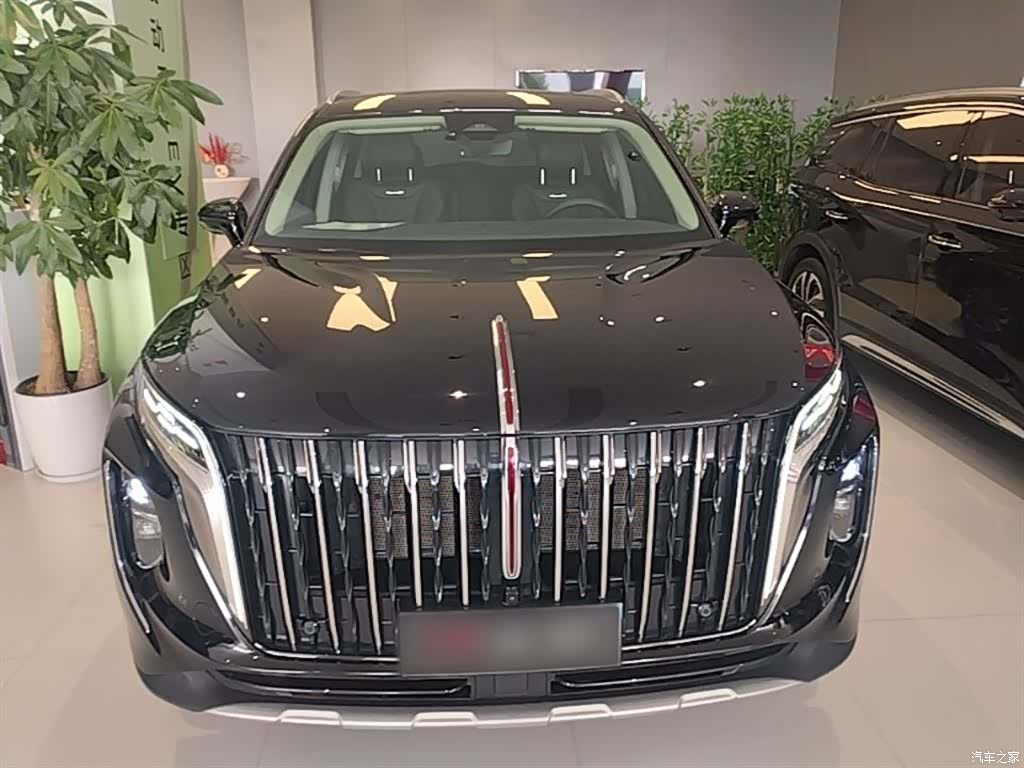 Hongqi HS7, 2024 3