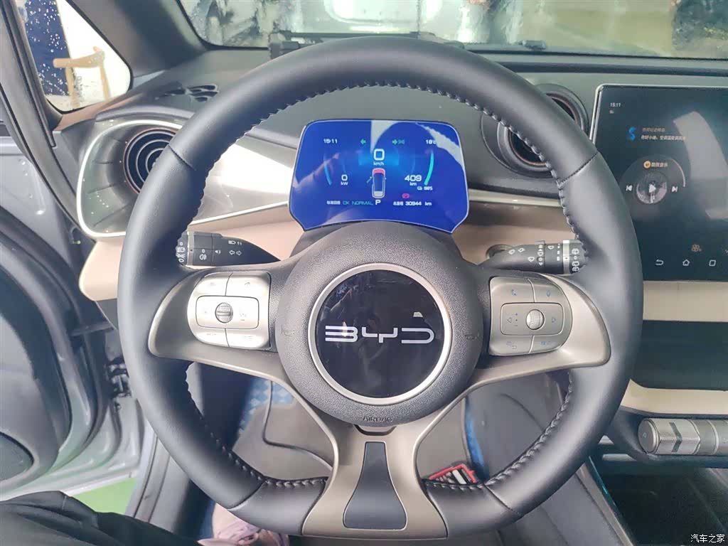 BYD Dolphin, 2024 11
