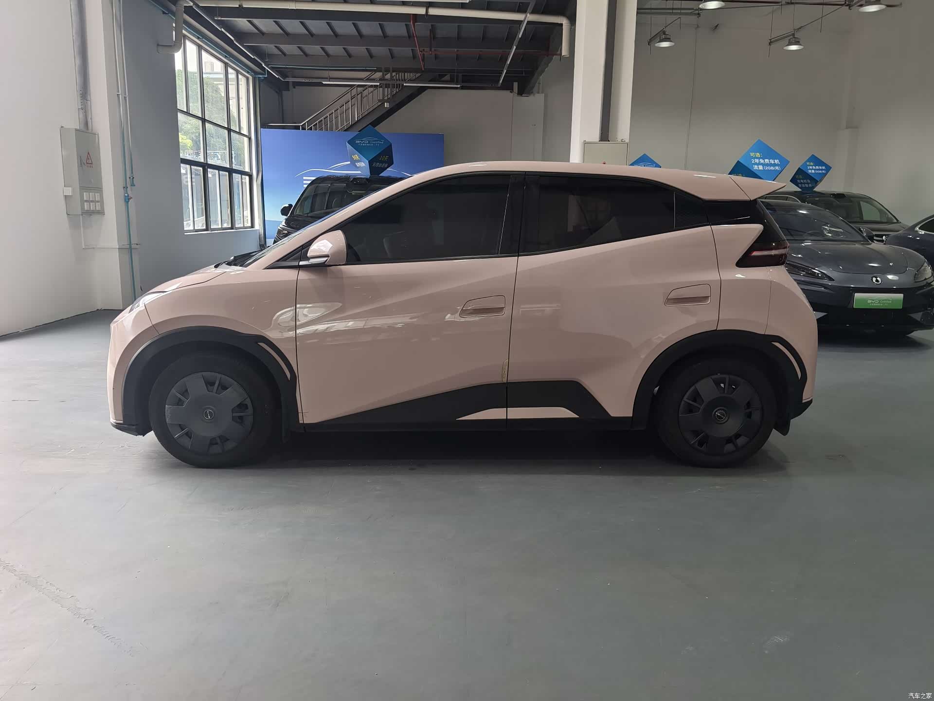 BYD Seagull, 2024 2