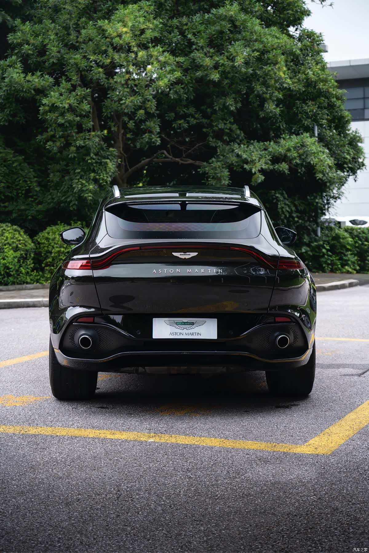 Aston Martin DBX, 2026 все фото