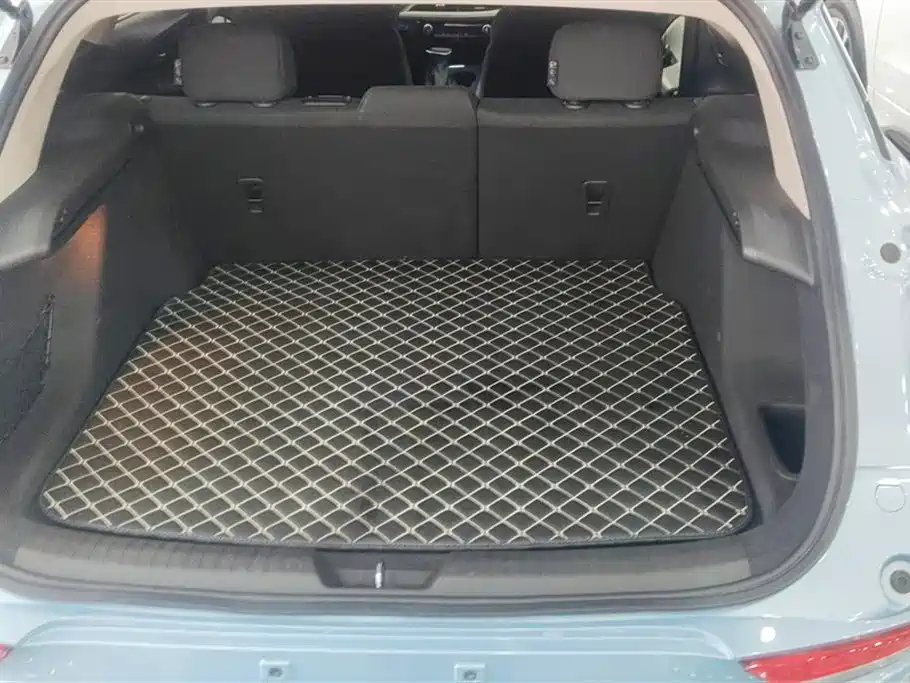 Buick Slightly blue 6