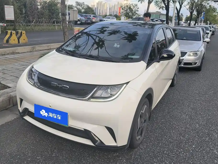 BYD dolphin