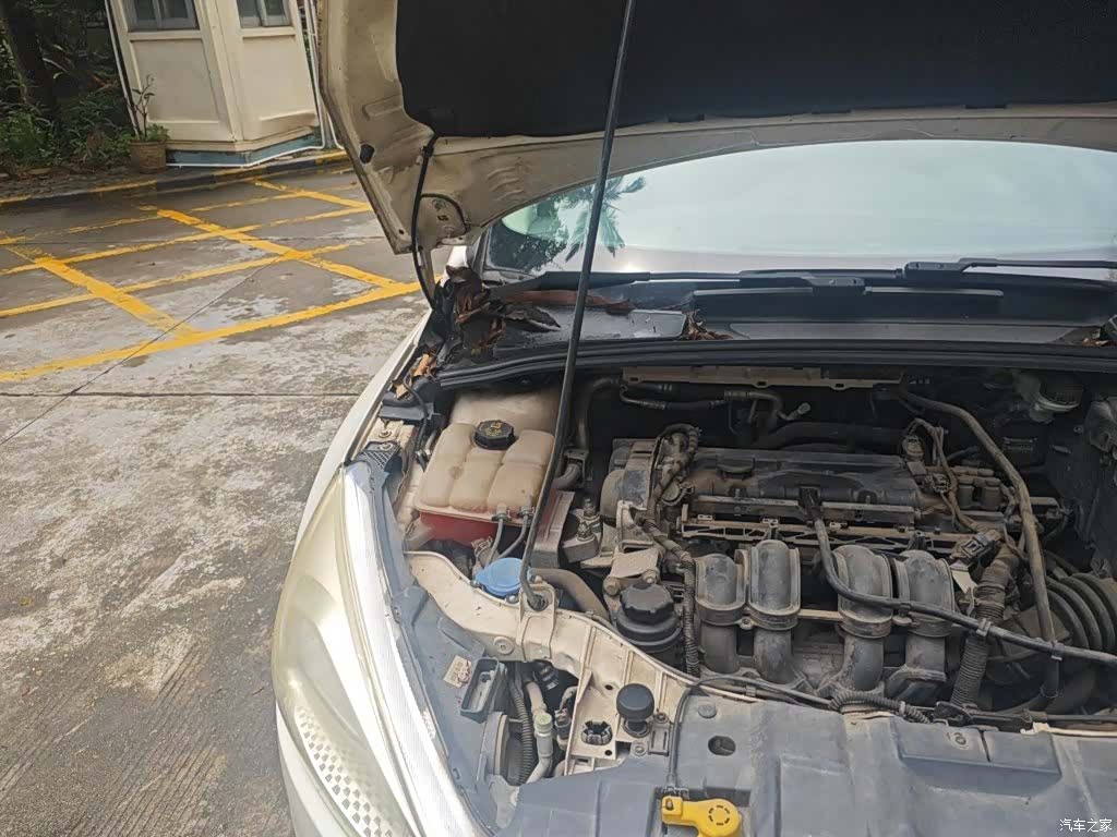 Ford Focus, 2016 21