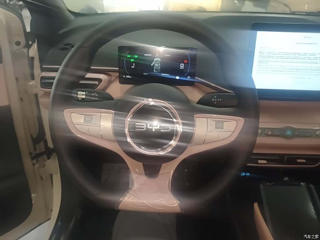 BYD Seagull, 2026 11