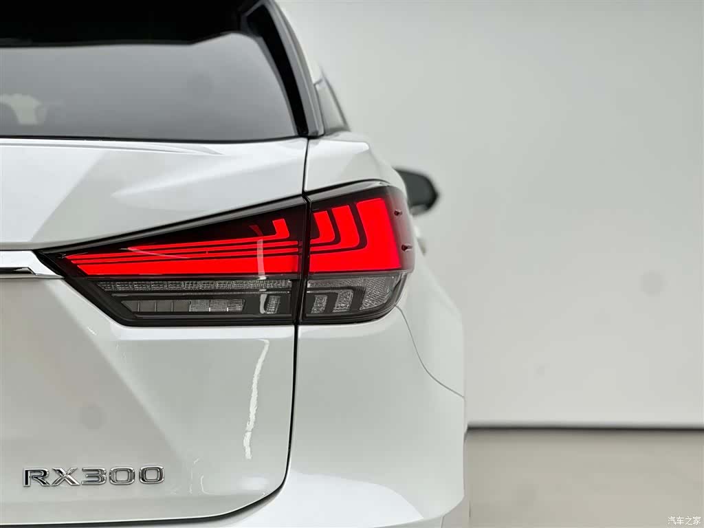 Lexus RX, 2022 17
